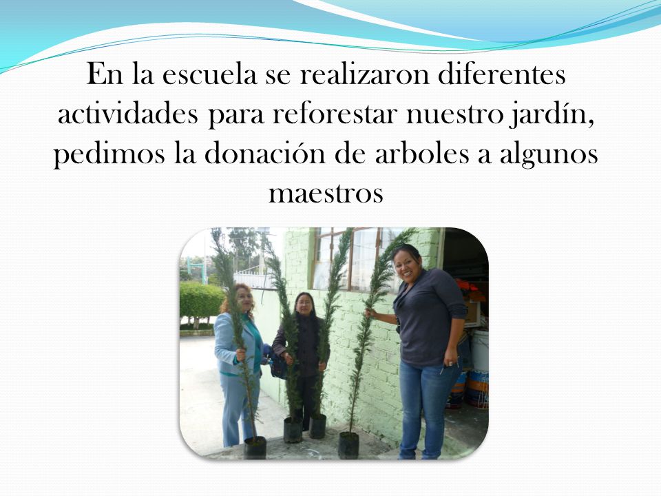 En la escuela se realizaron diferentes actividades para reforestar nuestro jardín, pedimos la donación de arboles a algunos maestros