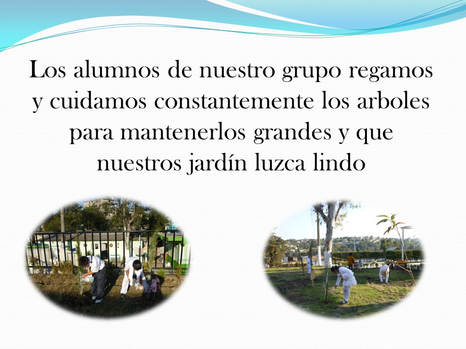Los alumnos de nuestro grupo regamos y cuidamos constantemente los arboles para mantenerlos grandes y que nuestros jardín luzca lindo