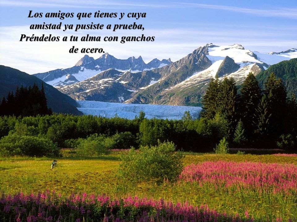 Los amigos que tienes y cuya amistad ya pusiste a prueba,