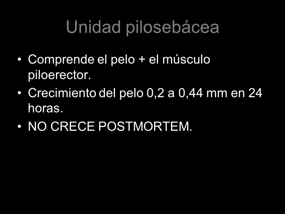 Unidad pilosebácea Comprende el pelo + el músculo piloerector.
