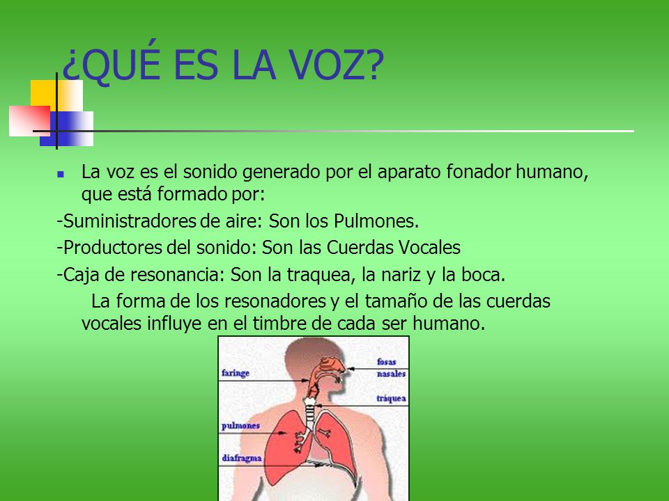 ¿QUÉ ES LA VOZ La voz es el sonido generado por el aparato fonador humano, que está formado por: -Suministradores de aire: Son los Pulmones.