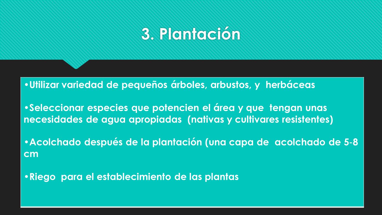 3. Plantación •Utilizar variedad de pequeños árboles, arbustos, y herbáceas