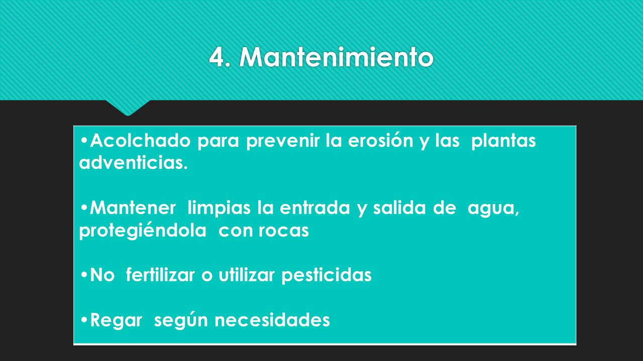 4. Mantenimiento •Acolchado para prevenir la erosión y las plantas adventicias.