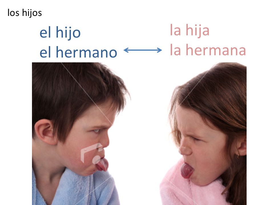 los hijos la hija la hermana el hijo el hermano