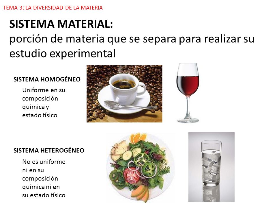 TEMA 3: LA DIVERSIDAD DE LA MATERIA