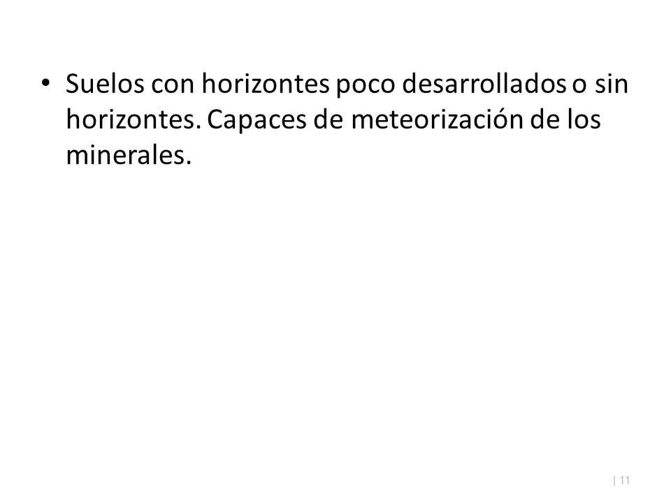 Suelos con horizontes poco desarrollados o sin horizontes