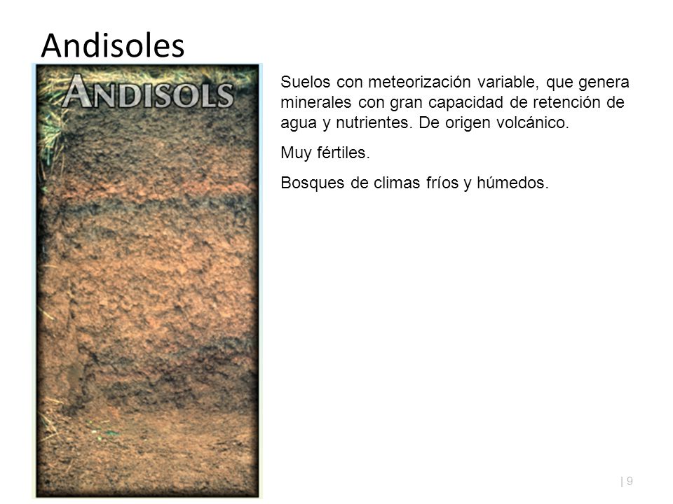 Andisoles Suelos con meteorización variable, que genera minerales con gran capacidad de retención de agua y nutrientes. De origen volcánico.