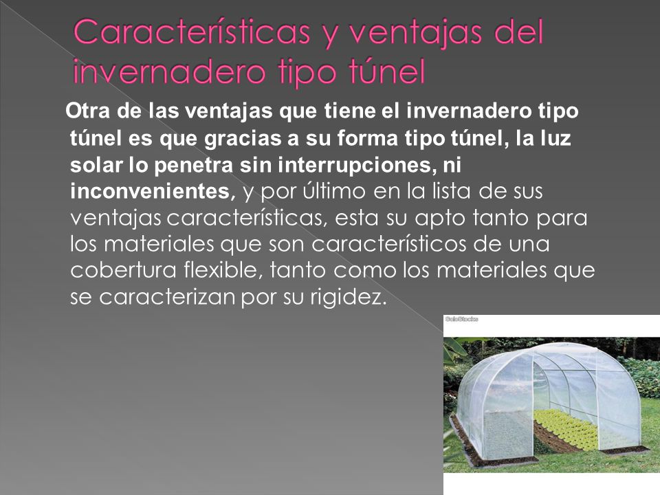 Características y ventajas del invernadero tipo túnel