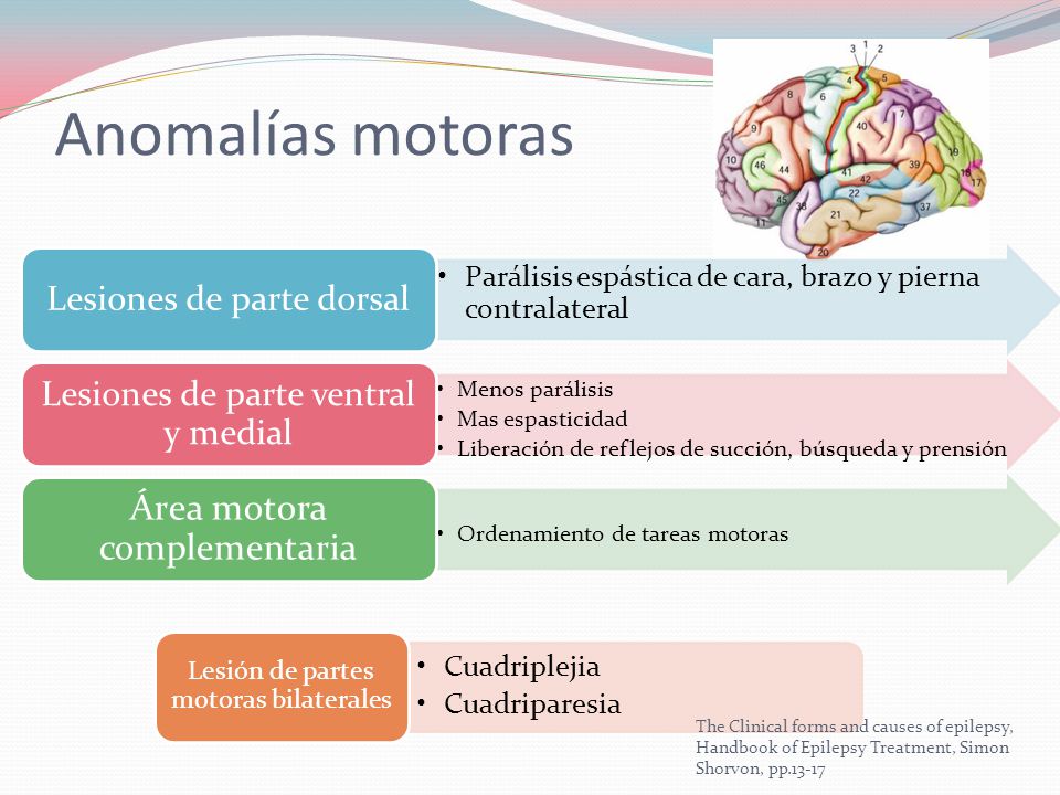 Anomalías motoras Área motora complementaria Lesiones de parte dorsal
