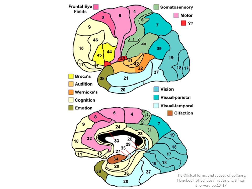 The Clinical forms and causes of epilepsy, Handbook of Epilepsy Treatment, Simon Shorvon, pp.13-17