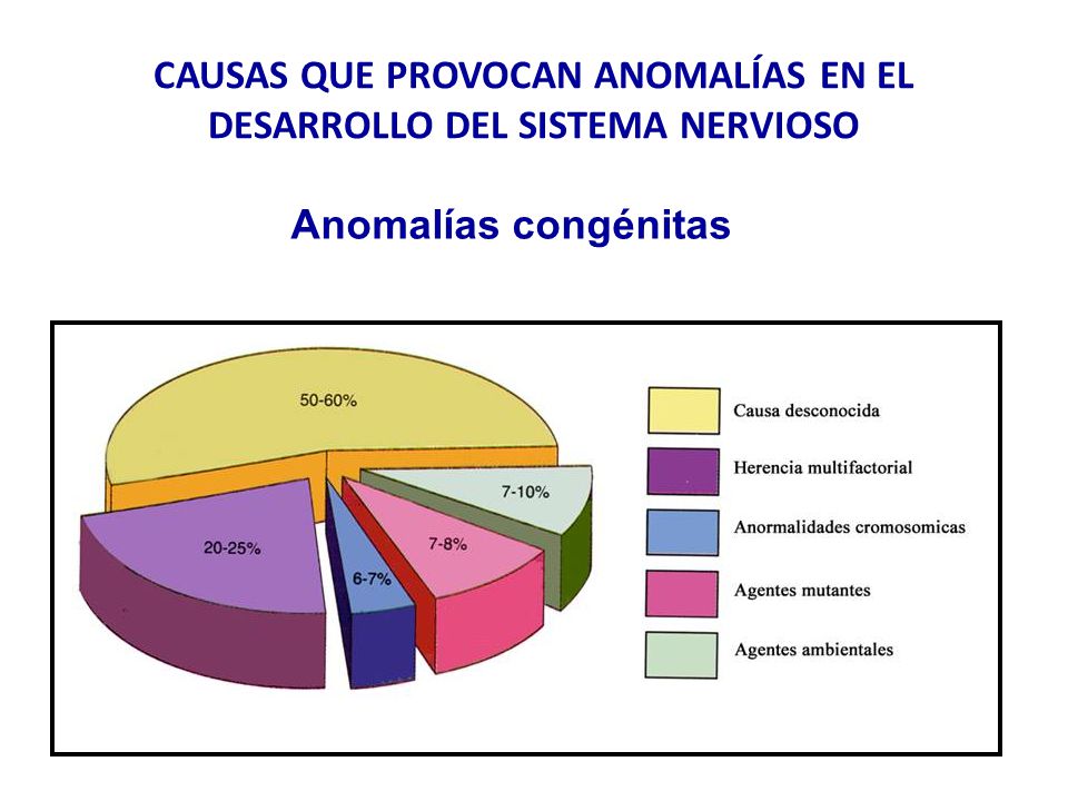 CAUSAS QUE PROVOCAN ANOMALÍAS EN EL DESARROLLO DEL SISTEMA NERVIOSO
