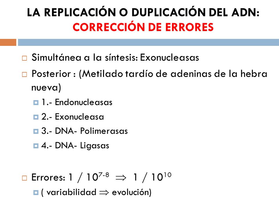 LA REPLICACIÓN O DUPLICACIÓN DEL ADN: CORRECCIÓN DE ERRORES
