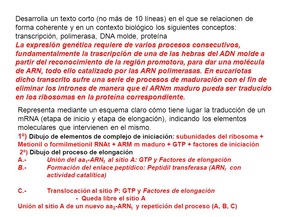 Desarrolla un texto corto (no más de 10 líneas) en el que se relacionen de forma coherente y en un contexto biológico los siguientes conceptos: transcripción, polimerasa, DNA molde, proteína