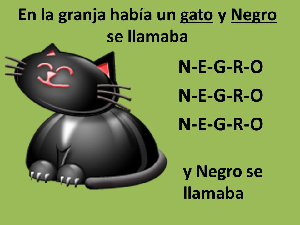 En la granja había un gato y Negro se llamaba