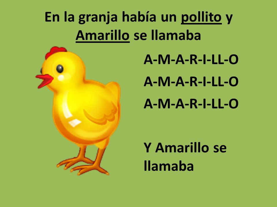 En la granja había un pollito y Amarillo se llamaba