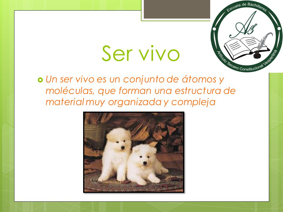 Ser vivo Un ser vivo es un conjunto de átomos y moléculas, que forman una estructura de material muy organizada y compleja.