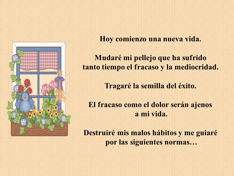 Hoy comienzo una nueva vida. Mudaré mi pellejo que ha sufrido