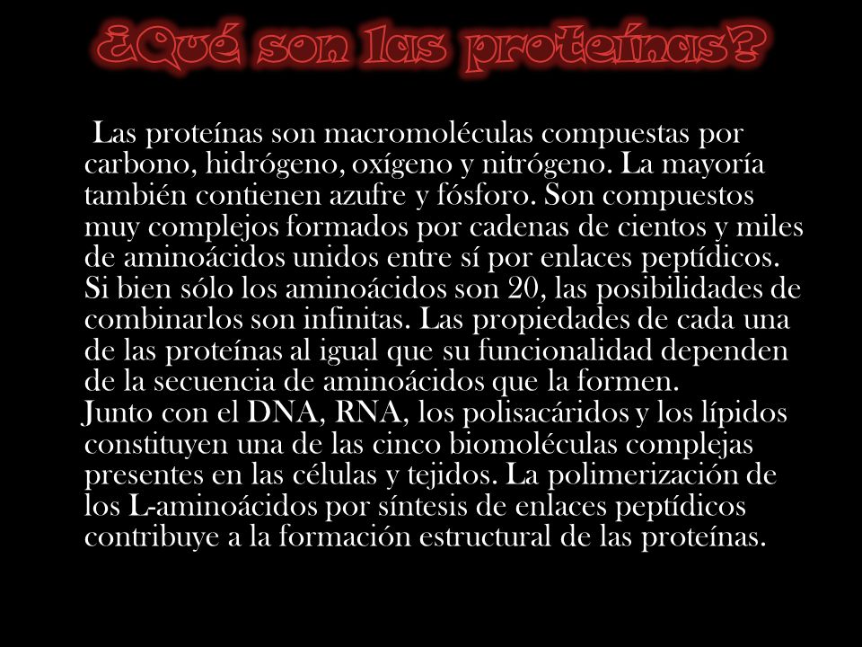 ¿Qué son las proteínas