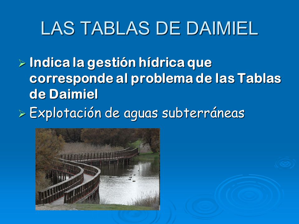 LAS TABLAS DE DAIMIEL Indica la gestión hídrica que corresponde al problema de las Tablas de Daimiel.