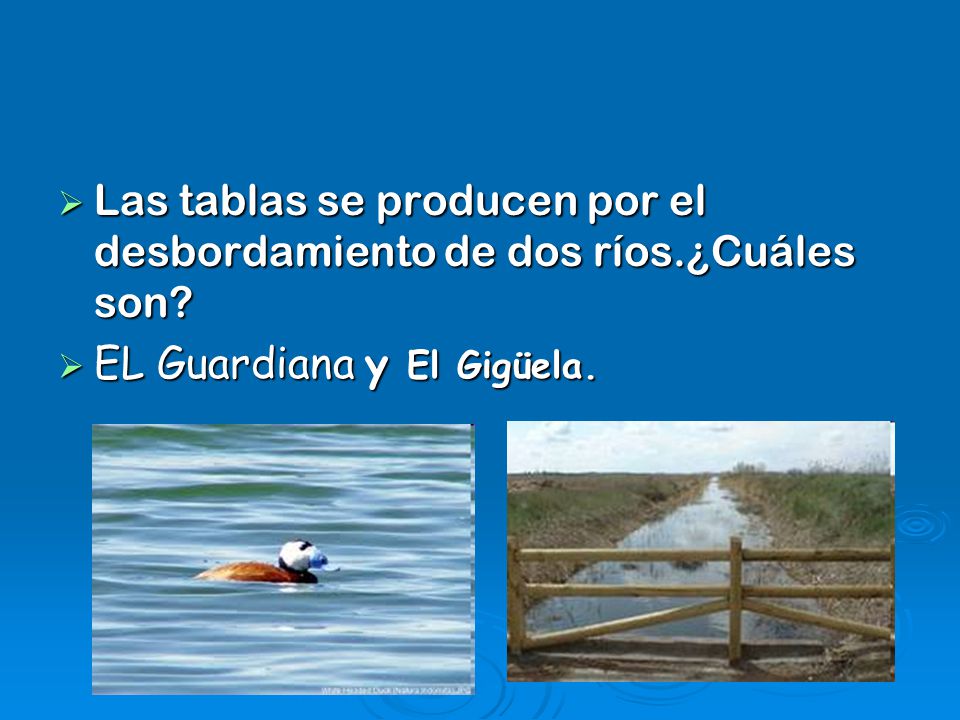 Las tablas se producen por el desbordamiento de dos ríos.¿Cuáles son