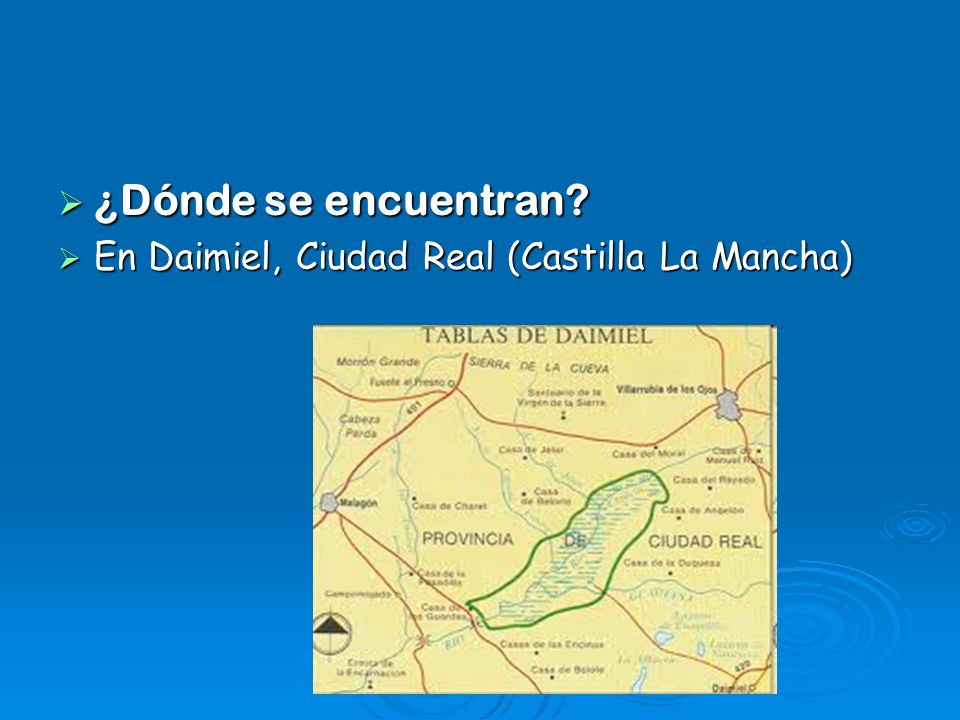 ¿Dónde se encuentran En Daimiel, Ciudad Real (Castilla La Mancha)
