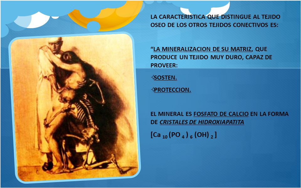LA CARACTERISTICA QUE DISTINGUE AL TEJIDO OSEO DE LOS OTROS TEJIDOS CONECTIVOS ES: