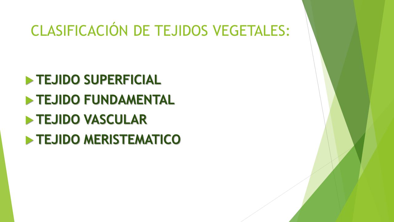 CLASIFICACIÓN DE TEJIDOS VEGETALES: