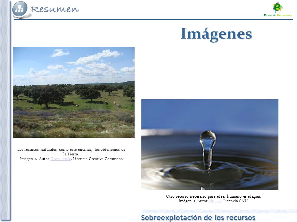 Imágenes Los recursos naturales, como este encinar, los obtenemos de la Tierra. Imágen 1. Autor Drow_male. Licencia Creative Commons.
