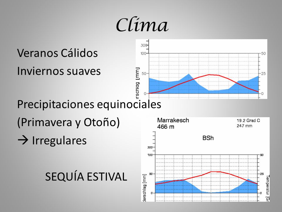 Clima Veranos Cálidos Inviernos suaves Precipitaciones equinociales (Primavera y Otoño)  Irregulares SEQUÍA ESTIVAL