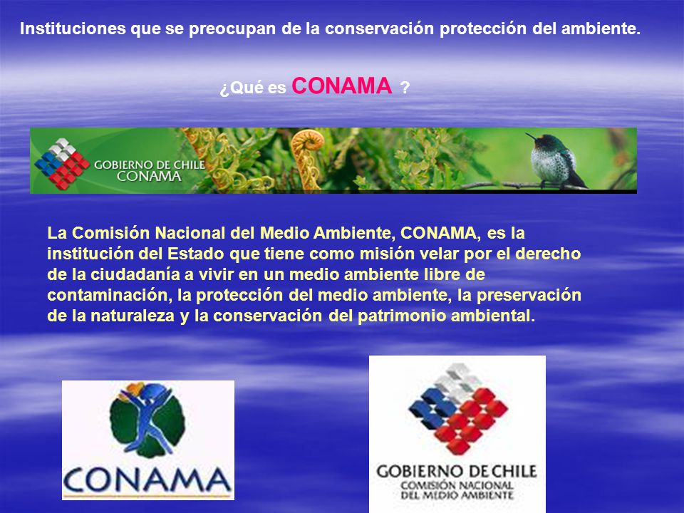 Instituciones que se preocupan de la conservación protección del ambiente.