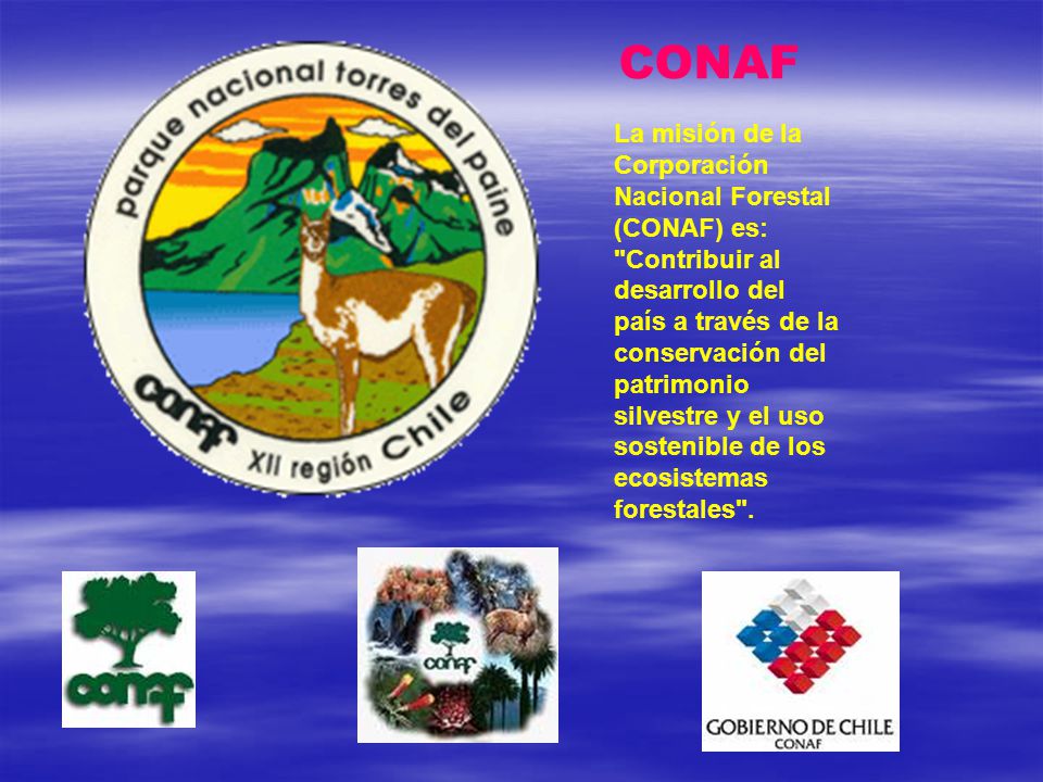 CONAF La misión de la Corporación Nacional Forestal (CONAF) es: