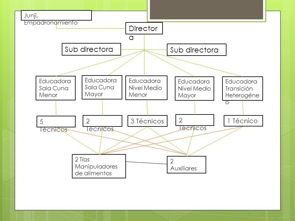 Directora Sub directora Sub directora 5 Técnicos 2 Técnicos 3 Técnicos