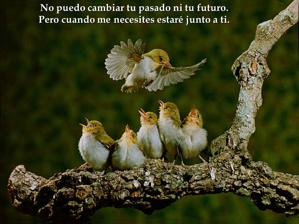 No puedo cambiar tu pasado ni tu futuro.