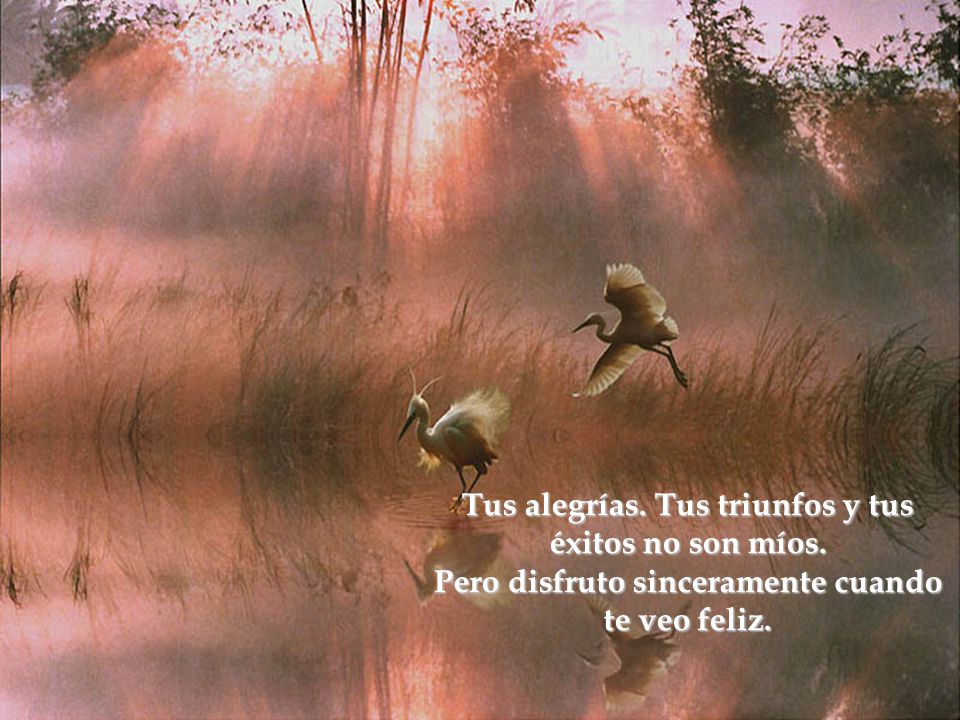 Tus alegrías. Tus triunfos y tus éxitos no son míos.
