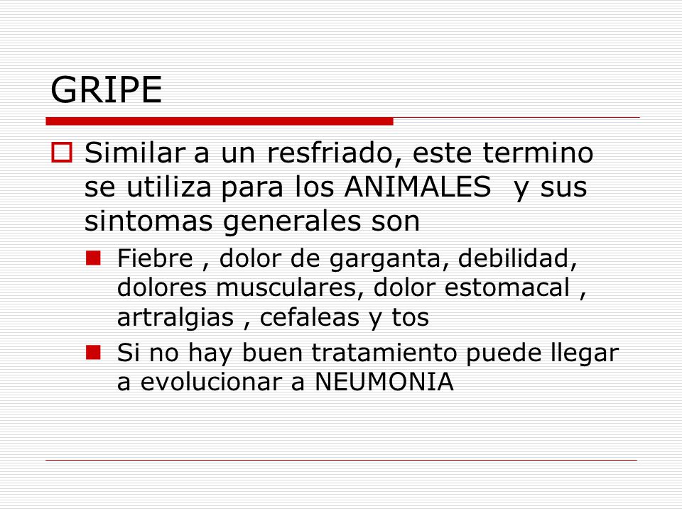 GRIPE Similar a un resfriado, este termino se utiliza para los ANIMALES y sus sintomas generales son.