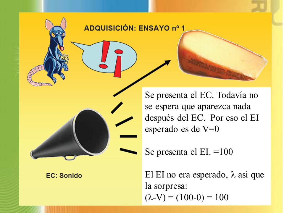 Se presenta el EC. Todavía no se espera que aparezca nada después del EC. Por eso el EI esperado es de V=0