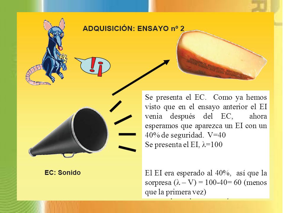 Se presenta el EC. Como ya hemos visto que en el ensayo anterior el EI venia después del EC, ahora esperamos que aparezca un EI con un 40% de seguridad. V=40
