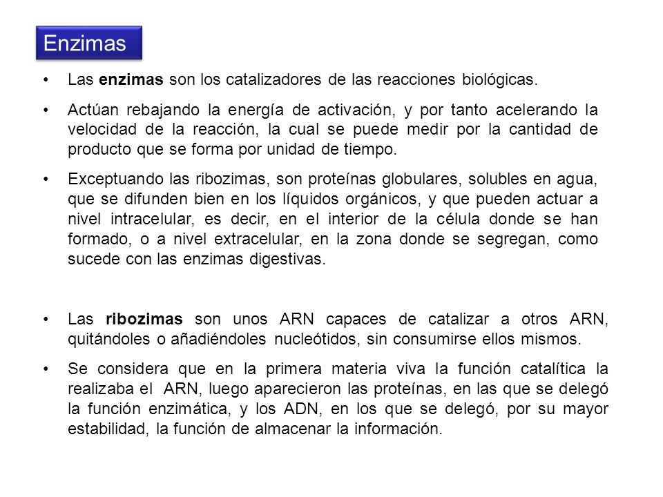 Enzimas Las enzimas son los catalizadores de las reacciones biológicas.
