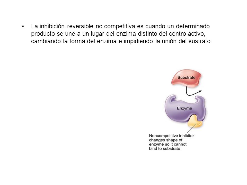 La inhibición reversible no competitiva es cuando un determinado producto se une a un lugar del enzima distinto del centro activo, cambiando la forma del enzima e impidiendo la unión del sustrato