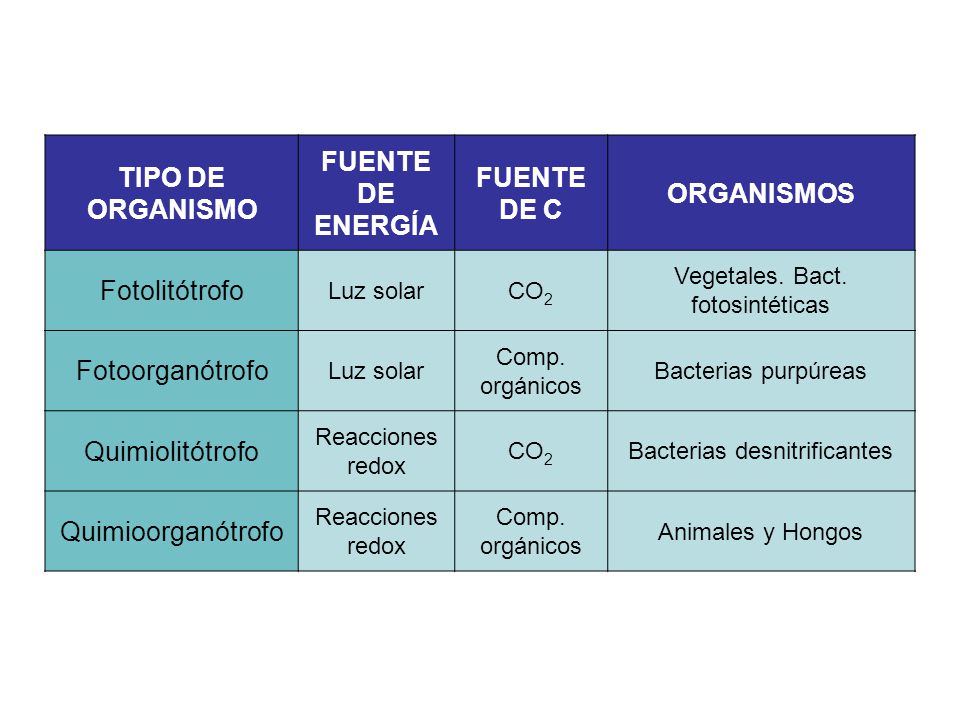 TIPO DE ORGANISMO FUENTE DE ENERGÍA FUENTE DE C ORGANISMOS