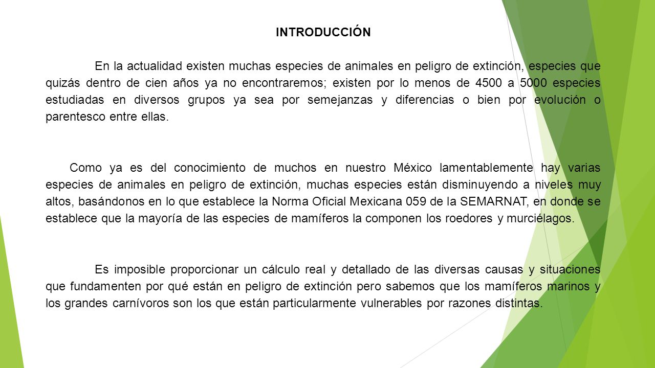 INTRODUCCIÓN