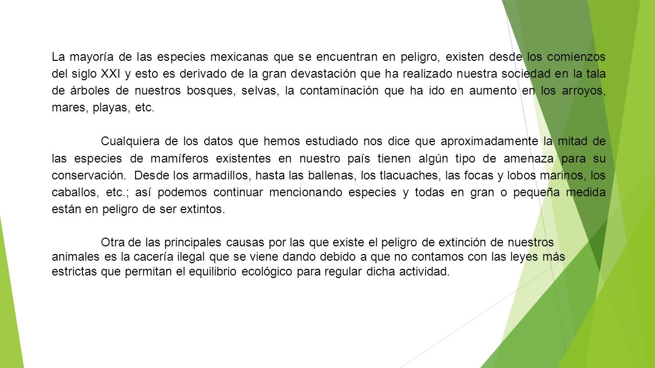 La mayoría de las especies mexicanas que se encuentran en peligro, existen desde los comienzos del siglo XXI y esto es derivado de la gran devastación que ha realizado nuestra sociedad en la tala de árboles de nuestros bosques, selvas, la contaminación que ha ido en aumento en los arroyos, mares, playas, etc.