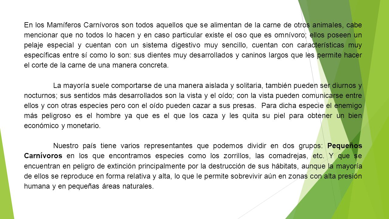 En los Mamíferos Carnívoros son todos aquellos que se alimentan de la carne de otros animales, cabe mencionar que no todos lo hacen y en caso particular existe el oso que es omnívoro; ellos poseen un pelaje especial y cuentan con un sistema digestivo muy sencillo, cuentan con características muy específicas entre sí como lo son: sus dientes muy desarrollados y caninos largos que les permite hacer el corte de la carne de una manera concreta.