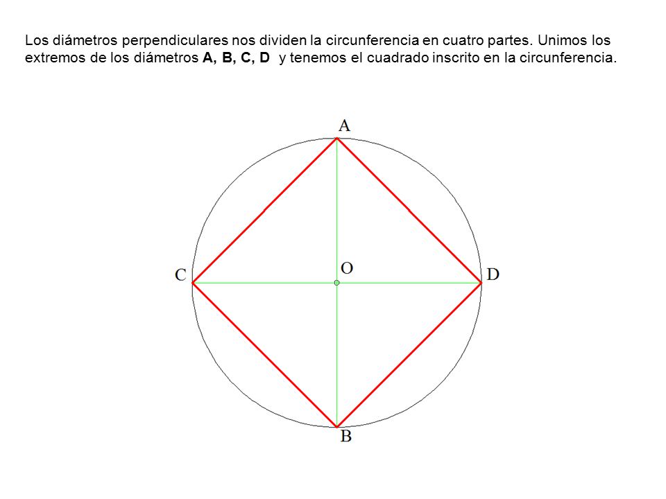 Los diámetros perpendiculares nos dividen la circunferencia en cuatro partes.