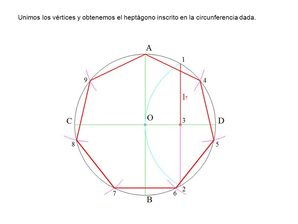 Unimos los vértices y obtenemos el heptágono inscrito en la circunferencia dada.