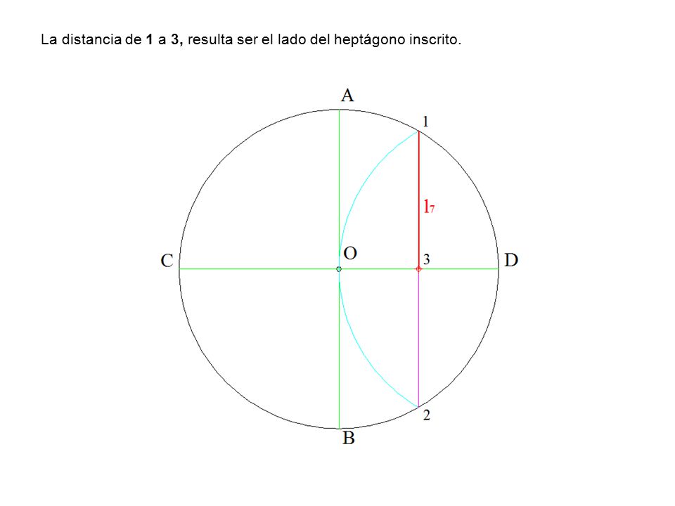 La distancia de 1 a 3, resulta ser el lado del heptágono inscrito.
