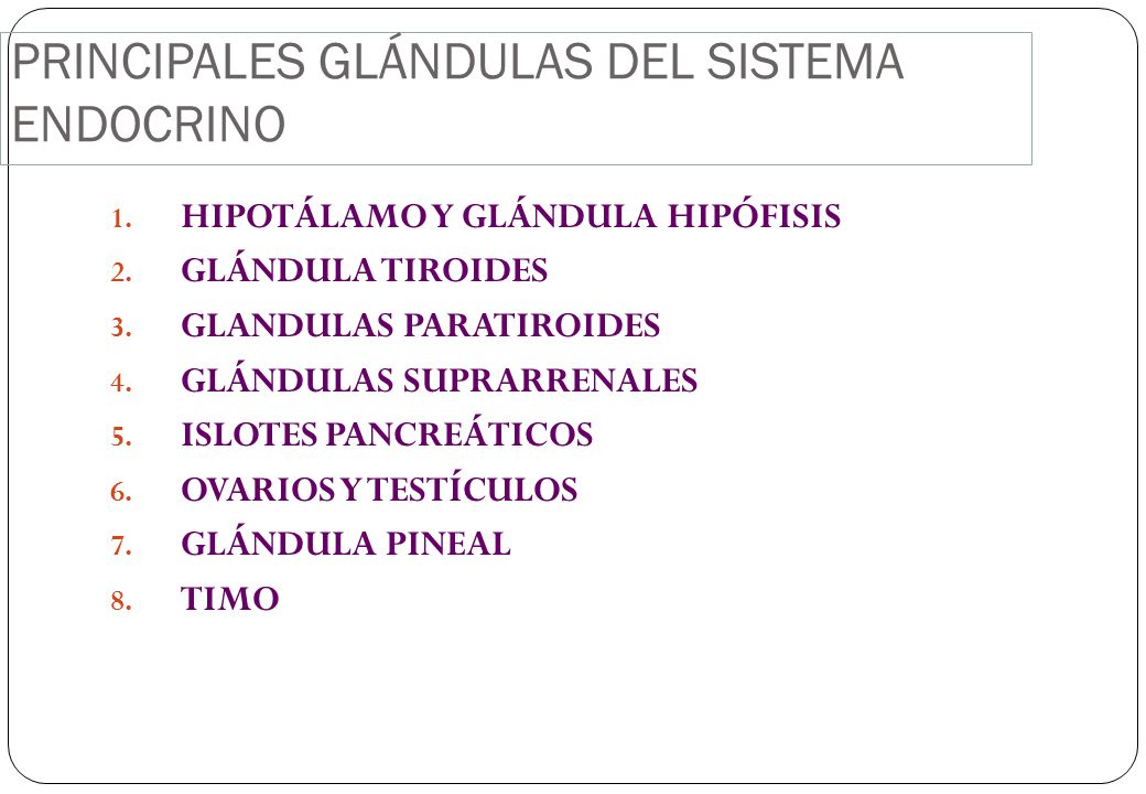 PRINCIPALES GLÁNDULAS DEL SISTEMA ENDOCRINO