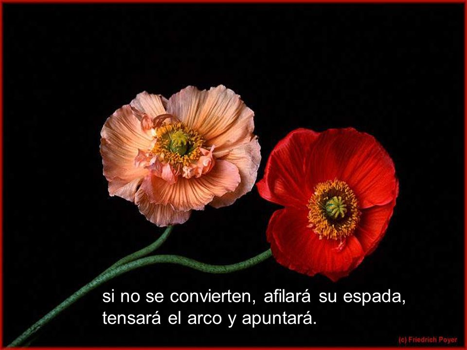 si no se convierten, afilará su espada, tensará el arco y apuntará.