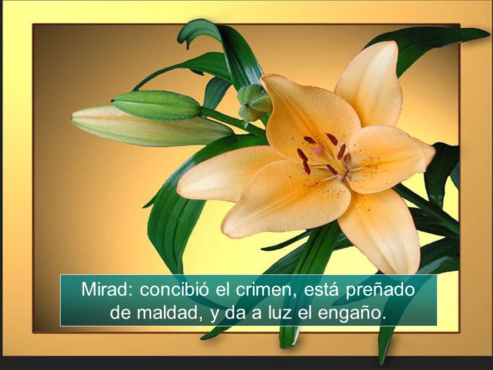 Mirad: concibió el crimen, está preñado de maldad, y da a luz el engaño.