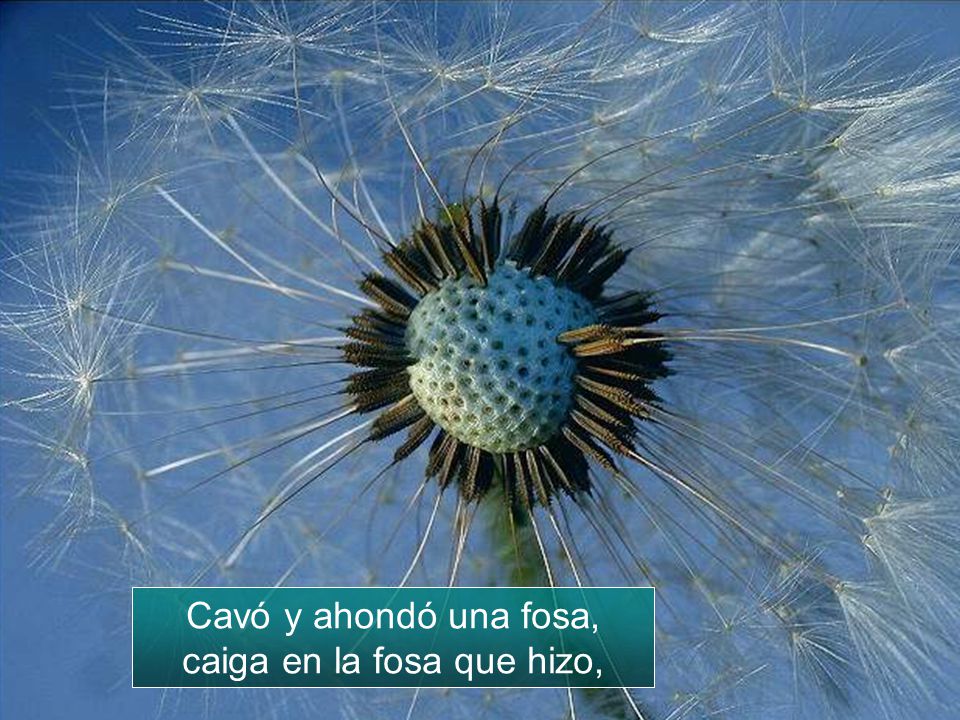Cavó y ahondó una fosa, caiga en la fosa que hizo,